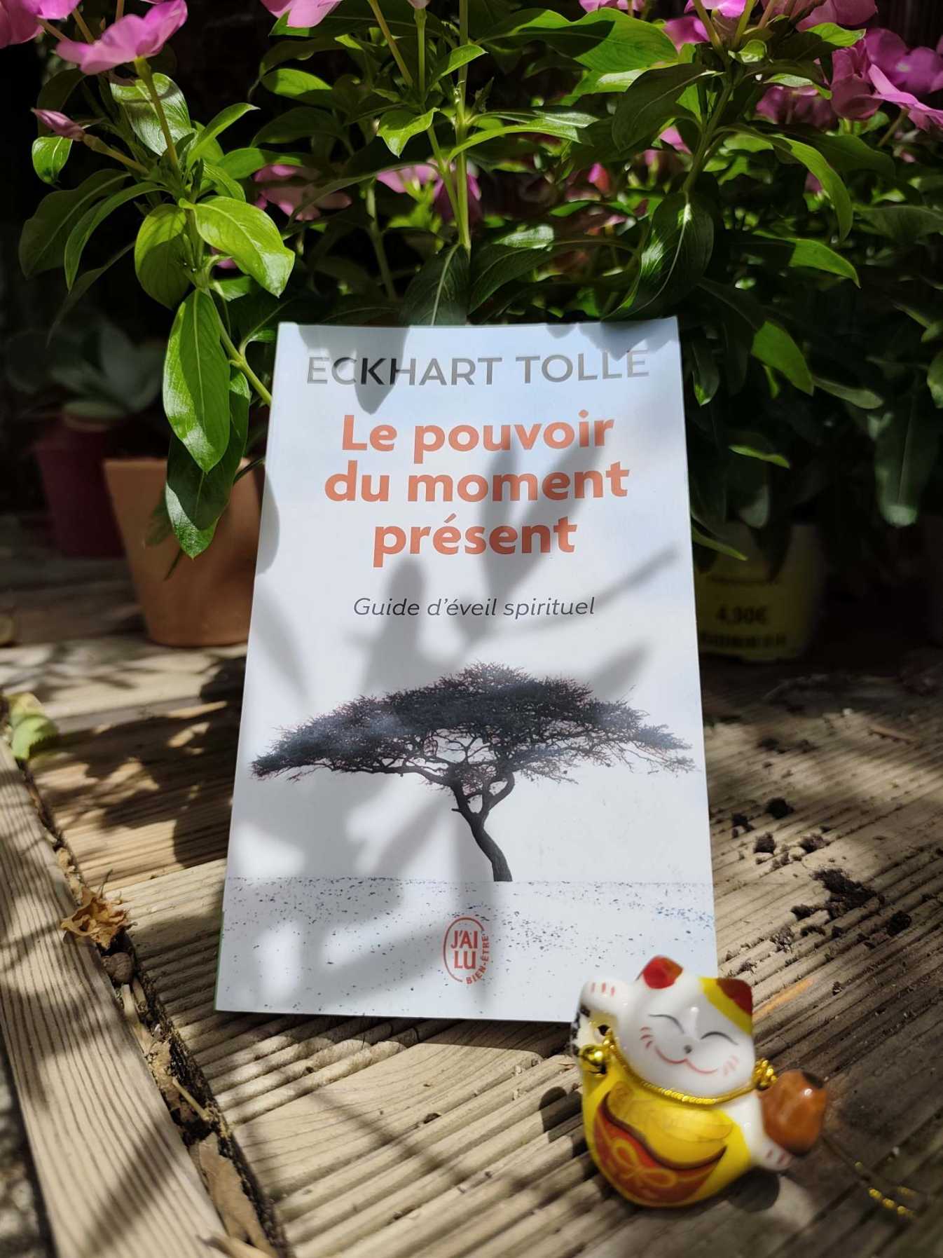 LE POUVOIR DU MOMENT PRESENT  - De Eckart TOLLE