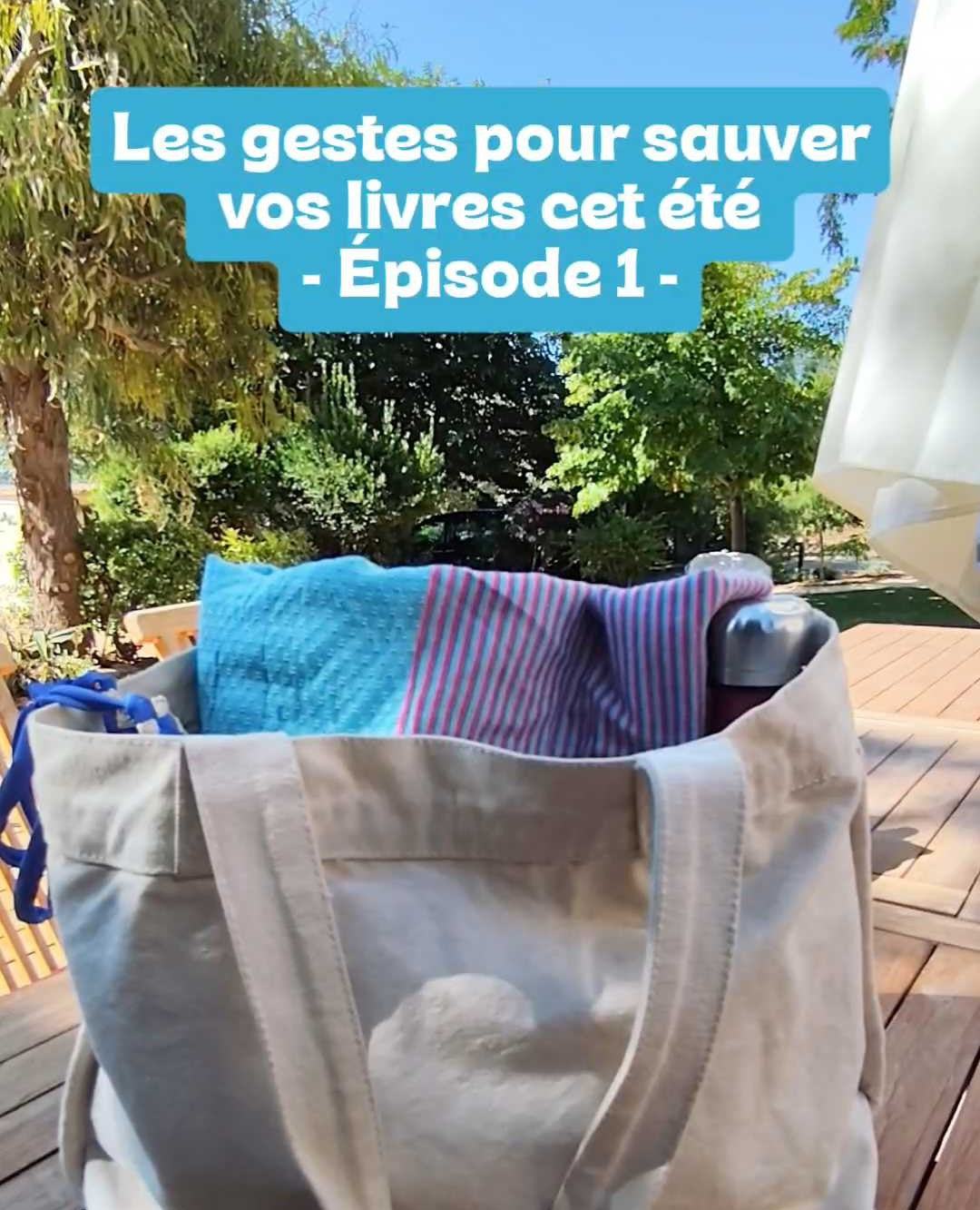 Youpii, les vacances : voici les gestes qui sauveront vos livres l'été !
