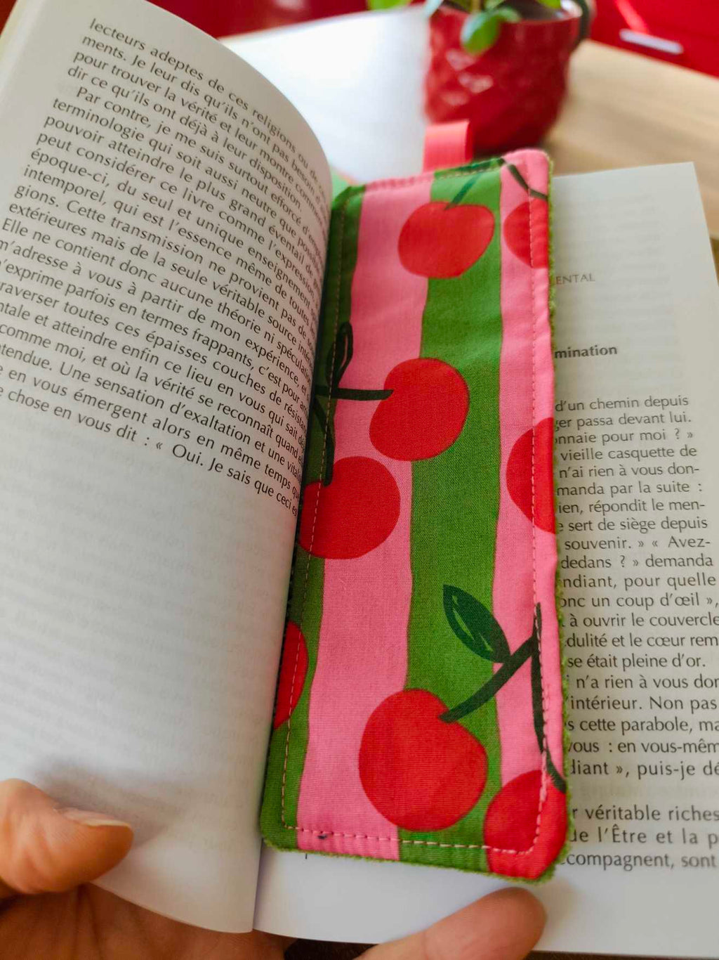 Pochette Livre Mots dans du Velours, protege livre bouton pressions  artisanat francais marque page etui a lunette vert cerise